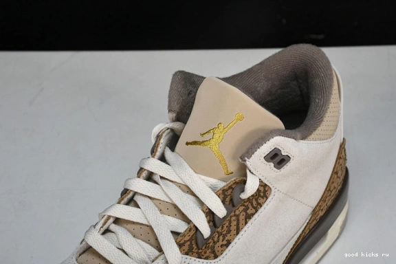 Retro Jordan  CT8532-102 CT8532-102 Palomino  3 0401